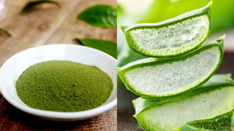 trị mụn bằng bột trà xanh 